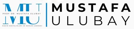 PROF. DR. MUSTAFA ULUBAY